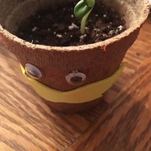 Meet your Posher, Helena